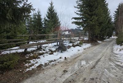 Teren 3,868mp Dorna-Arini / Strada Principala - 1