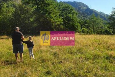 Teren Județul Vâlcea - Brezoi, Valea lui Stan - 40