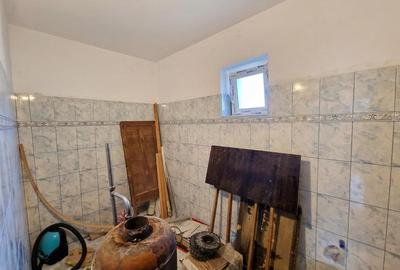 RECO Teren mare cu 2 case in Sabolciu, com. Sacadat - 5