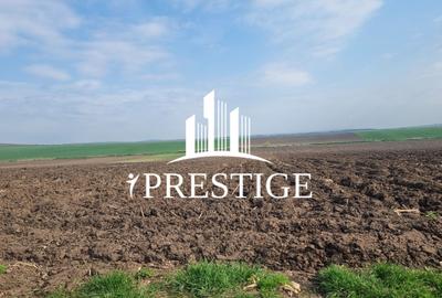 TEREN DE VÂNZARE ȘURA MICĂ 10.000 MP | 2 FRONTURI STRADALE, INVESTIȚIE - 14