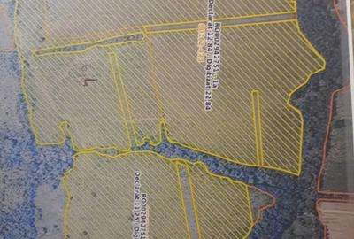 Oportunitate de investitie- teren Martinesti, Hunedoara - 1