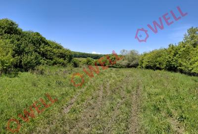 De vânzare teren intravilan de 30 000 m² (3 ha) în Reghin - 10