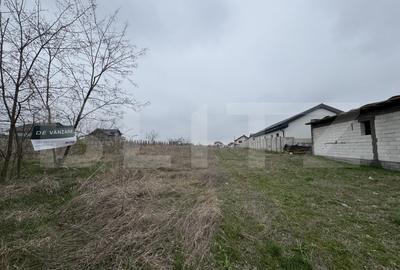 Teren Construcții intravilan de 800 mp, în Malu Mare