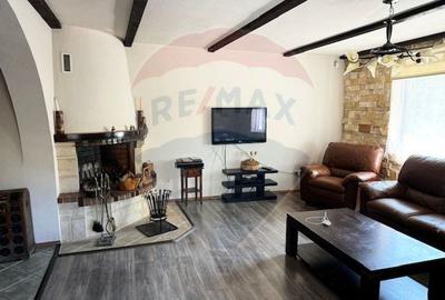 Vila  de vacanta Sibiel - 1