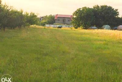 Teren intravilan de vanzare Ciofliceni | Ghermanesti | Snagov - 7