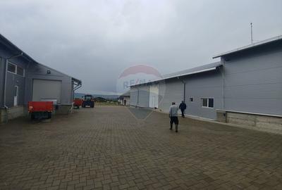 Spațiu industrial-depozit de 292mp de închiriat in Dumbraveni, SV - 3