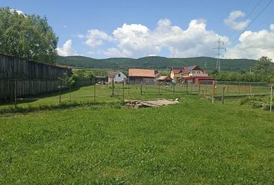 De vânzare teren extravilan la Sfântu Gheorghe - 11