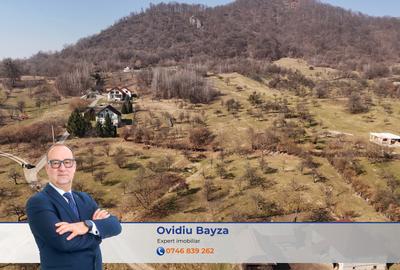 Teren intravilan 5.105 mp, Baia Sprie, la intrare pe Valea Chiuzbăii - 1