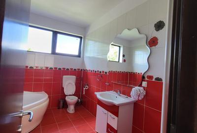 Vanzare proprietate in Mogosoaia langa padure - 4