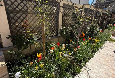 Casa 5 camere zona Stadion cu spatiu comercial - 16