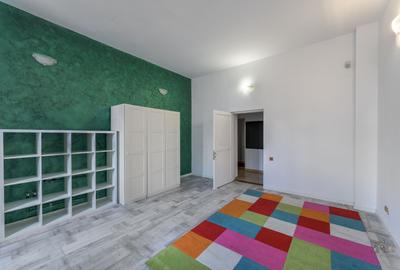 Business cu identitate: Apartament Unirii , demisol, parter si curte accesibila - 14