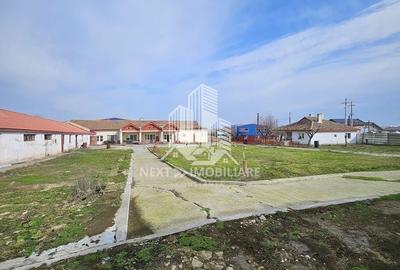 Oportunitate Investiție Ovidiu: Teren 4455 mp și Clădiri 1067 mp - 9