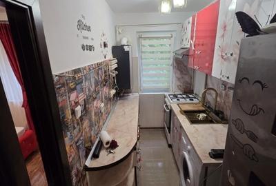 Apartament cu 2 camere - zona Alexandru cel Bun - Piata - Pet Friendly - 5