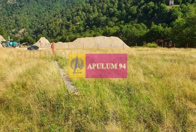 Teren Județul Vâlcea - Brezoi, Valea lui Stan - 33