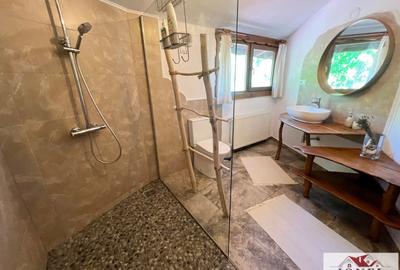 Casa exclusivista de vanzare in Aiud - 9