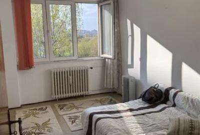 Apartament 2 Camere,Titan,Nicolae Grigorescu,DECOMANDAT,Amenajat,boxa,parcare - 4