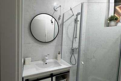Casa individuala de lux langa complex Moara - 10