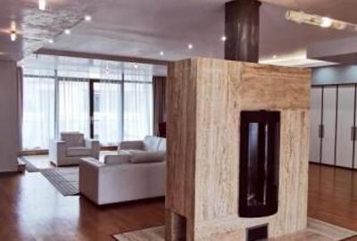 Dorobanti Penthouse supr. 235mp terasa 130mp - 1