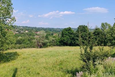 Oportunitate de Investiție | Teren cu Panoramă Montană | Vaideeni – Izvorul Rece - 6