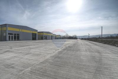 Hala industriala, de vanzare – 600 mp utili, 1400 mp teren Baciu - 5