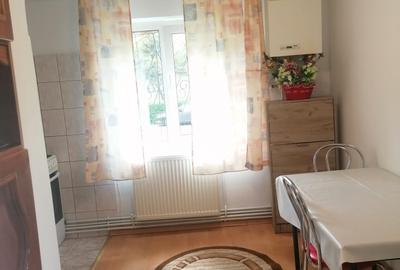 Apartament 2 camere Scriitorilor - 3