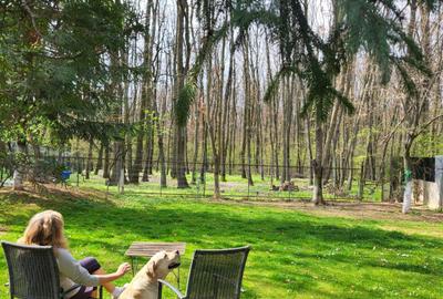 Resedinta cu Padure Privata, Paradisul Verde, teren 1800mp, gradina matura - 2