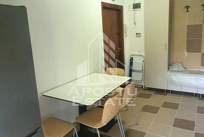 Apartament cu 2 camere de inchiriat, zona Lipovei, Timisoara - 9
