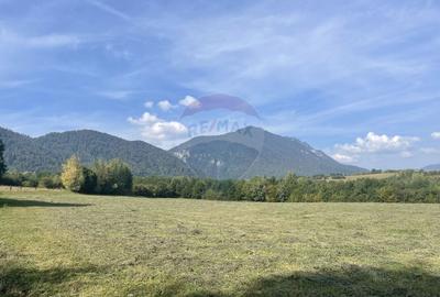 Teren intravilan 850mp Zarnești-Bran, natura-relaxare - 5