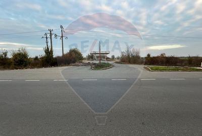 Teren Construcții intravilan de 20000 mp, în Vest