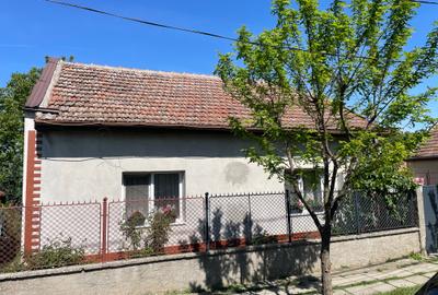 Casă individuală  (100 mp) + Teren Generos (710 mp) - Potențial dezvoltare - 2