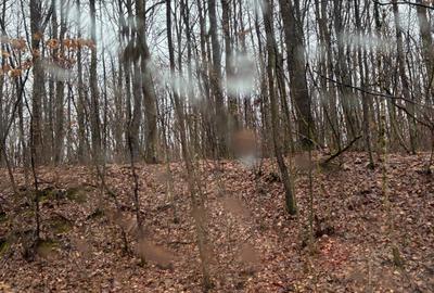 Teren agricol extravilan de 10000 mp, în Șag