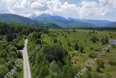 Teren intravilan 550 mp de vanzare pe Valea Avrigului loc Avrig