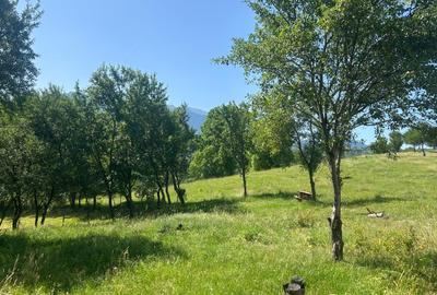 Teren Sohodol cu vedere catre M-tii Bucegi - 4