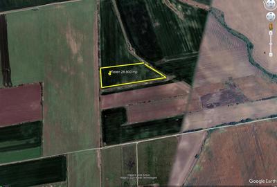 Teren de 28800 mp aproape de drumul Arad - Iratos - 2