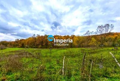 Teren Construcții intravilan de 9550 mp, în Poiana cu Cetate