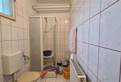 COMISION 0% CASA VECHE CU TEREN GENEROS DUMBRAVITA VATRA VECHE - 11