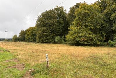 Comision 0 %, teren intravilan Sambata de Sus, ideal cabana weekend - 1