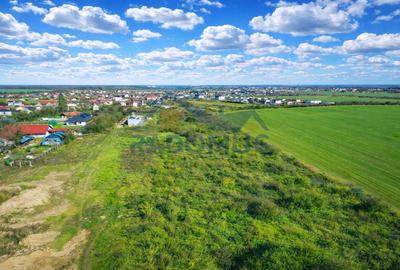 Teren intravilan–Balotești | 2.176 mp | Utilitati Disponibile I 64€/MP - 4