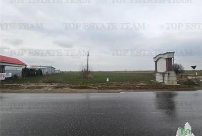 Teren comercial 7169mp la baza nod km35 pe A1 - 5