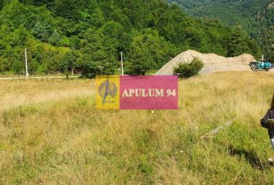 Teren Județul Vâlcea - Brezoi, Valea lui Stan - 8