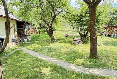 BAIA SPRIE - spre Cavnic Vila D+P+E 168mp + anexa cu teren 1526mp! - 5