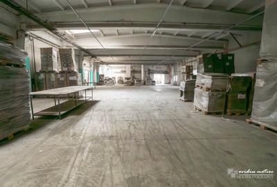 Module de hala in Turda, 400, 500, 700, 1200, 3000, 5000, 9000 mp - 11
