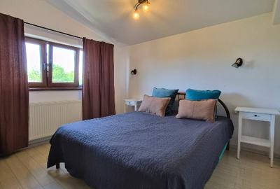 Proprietate cu 2 locuinte independente, spa privat, teren generos -Tunari Centru - 11