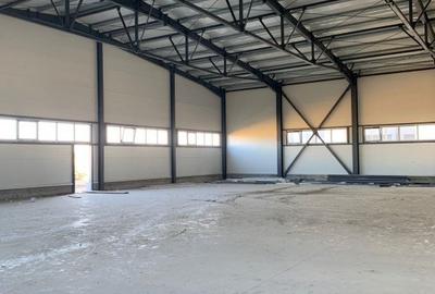 Hala industriala 600 mp, curte 1398 mp, parcare, toate utilitatile - Ghiroda - 4