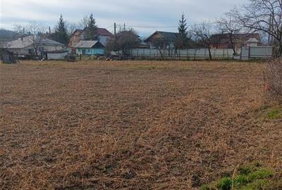 Teren 3500mp.zona centrala Paun Bucium la asfalt cu toate utilitatile - 4