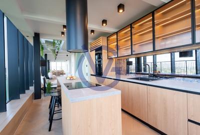 Privind deasupra tuturor - Penthouse unic cu terasa 120mp, in Asmita-COMISION 0% - 8