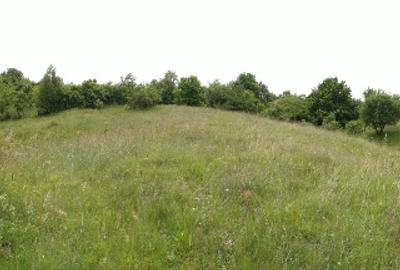 Teren intravilan de vanzare, pret usor negociabil - 6
