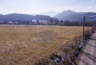 Teren de vanzare  Intravilan 19.341 mp – Cheile Râșnoavei, Parcelabil - 11