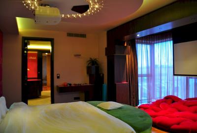 PENTHOUSE UNICAT vedere parc si la lac Herastrau - 21