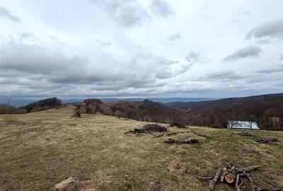 TEREN 34.000 MP | SERANI BIHOR - 5